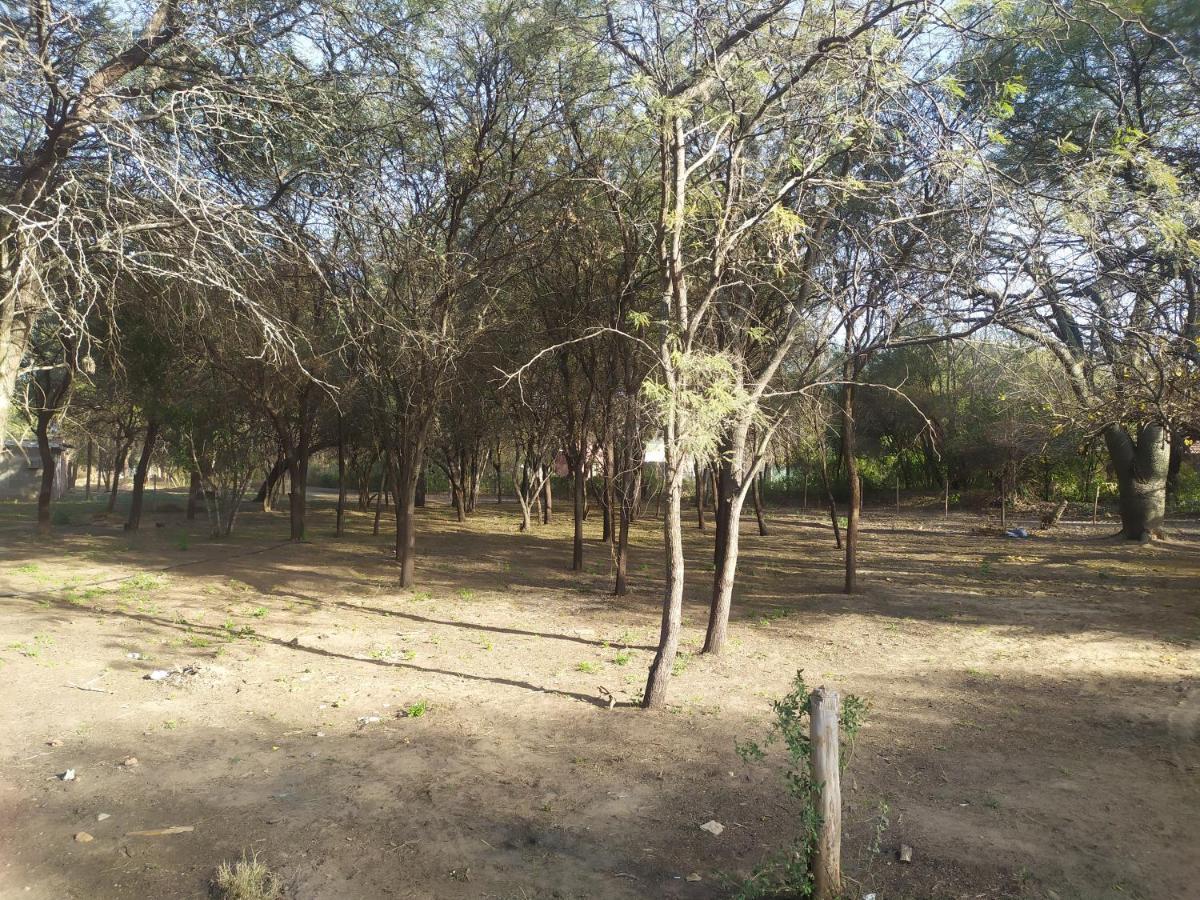 Amoq Lodge *